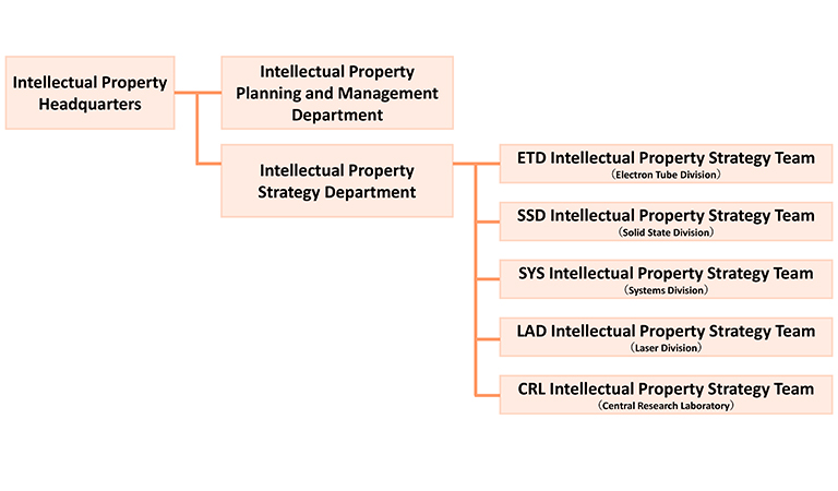 Intellectual Property headquarters organization