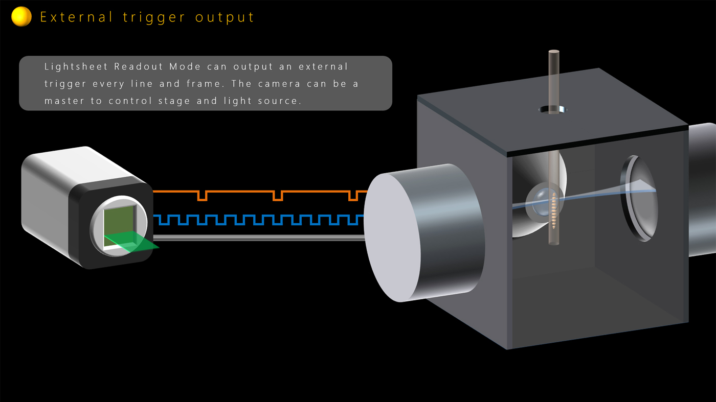 External trigger output