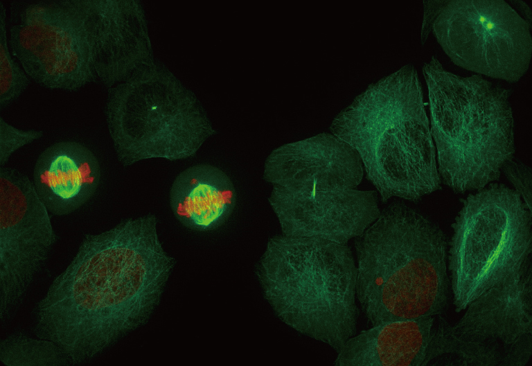 Super-resolution images from ORCA-Quest