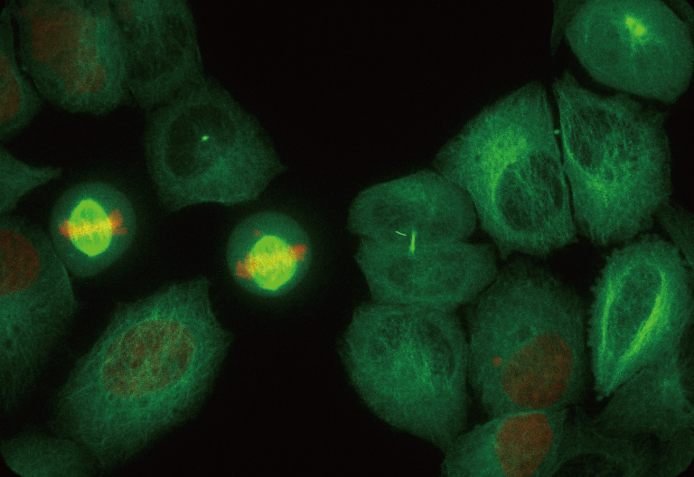Super resolution images from ORCA-Fusion