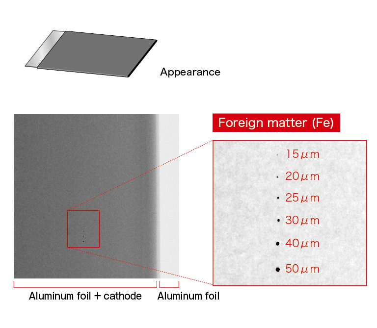 Image example of X-ray TDI camera