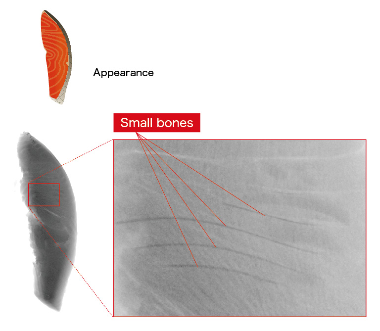 Image example of X-ray TDI camera