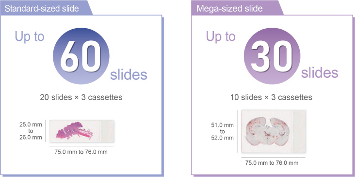 product features