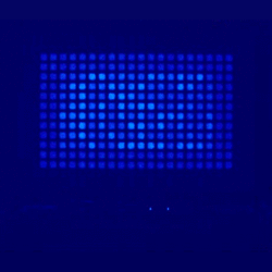 Cardiomyocites oscillation