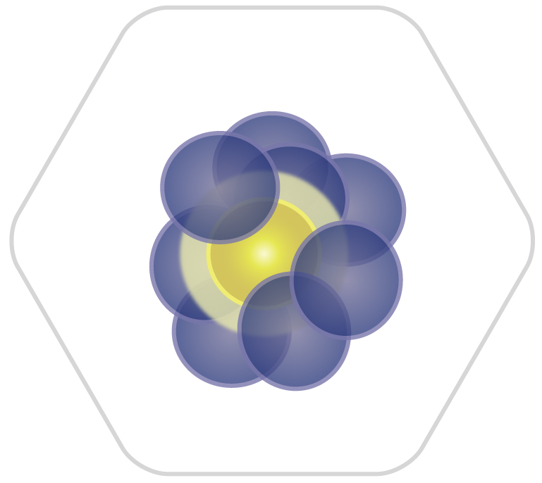 fdssucell application