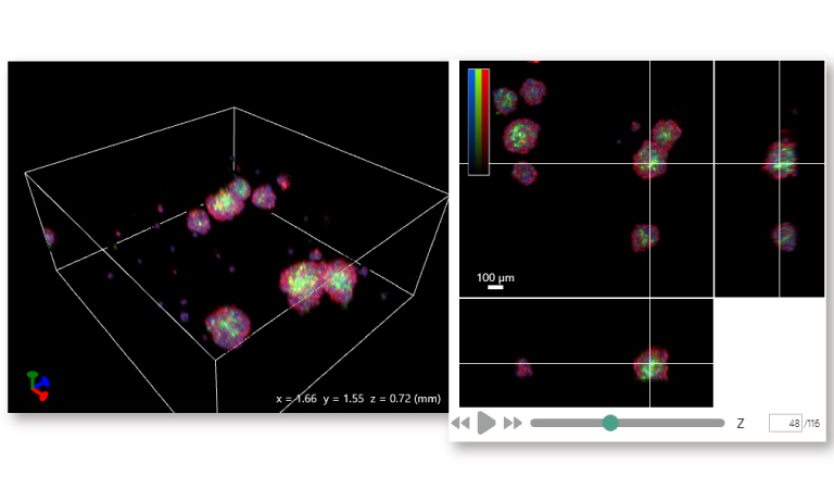 CYTOQUBE 3D Fluorescence Image Display