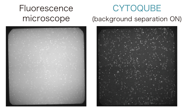 Real-time background separation