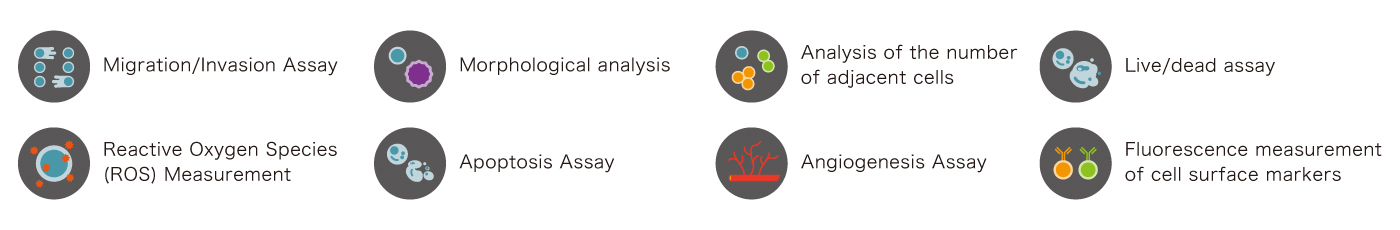 Supported assays