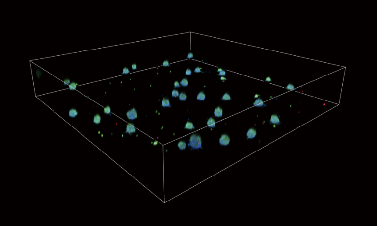 CYTOQUBE Spheroid Image