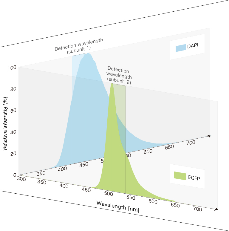 MEMS confocal unit Technology Information