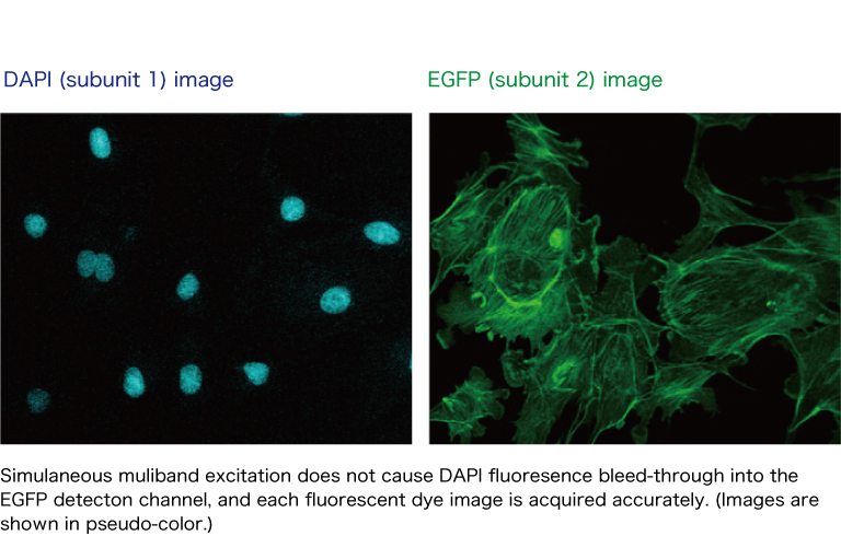 MEMS confocal unit Technology Information
