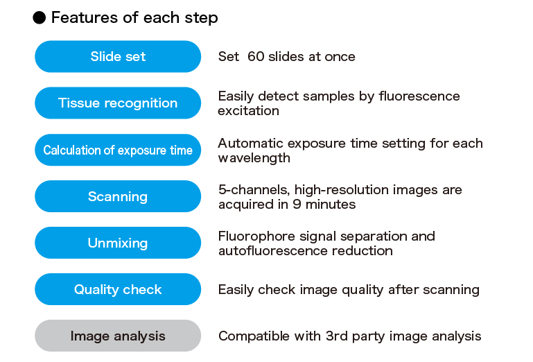 Features of each flow
