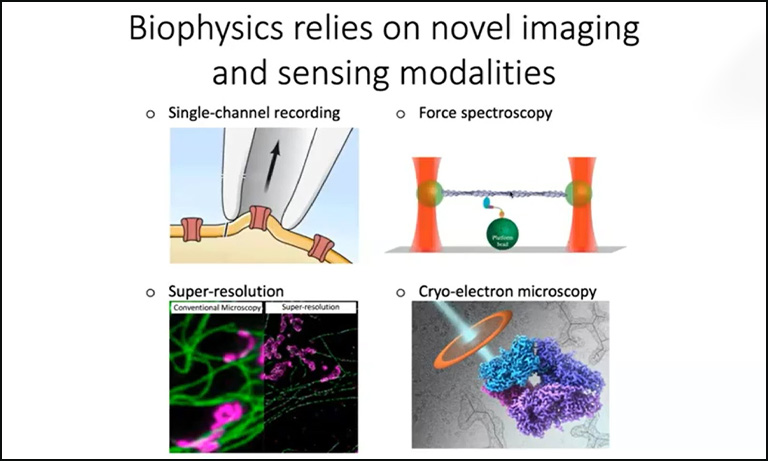 Biophysics relies on novel imaging and sensing modalities
