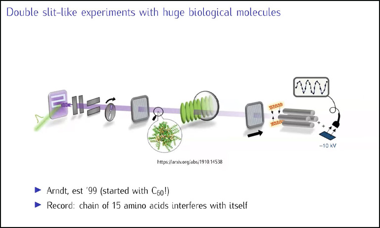 Double slit-like experiments with huge biological molecules