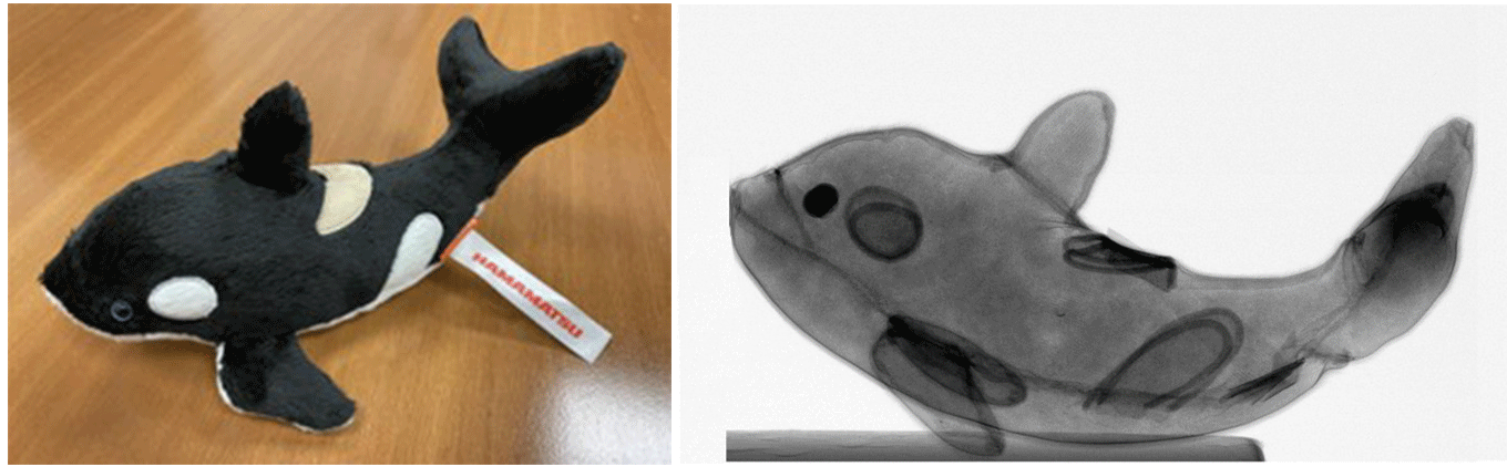 Xray Image of the ORCA mascot