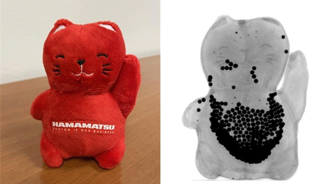 X-ray image of HamaCATsu mascot