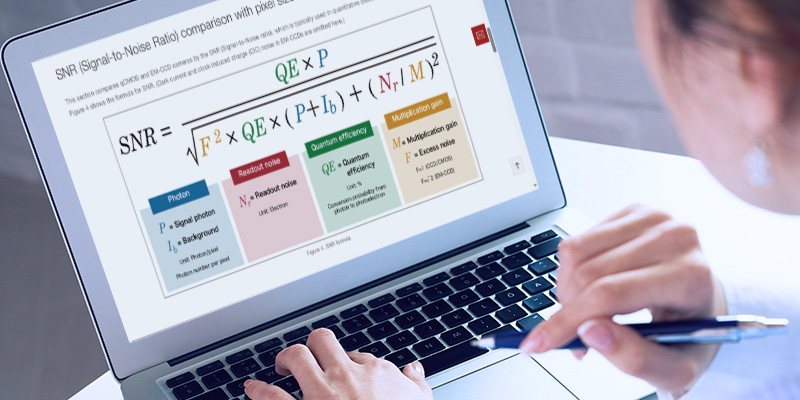 Learning Management System - Training Hamamatsu