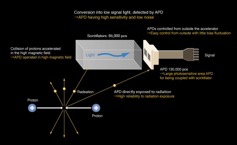 Conceptual diagram of calorimeter APDs