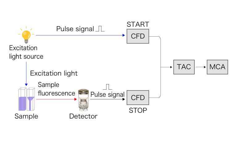 TCSPC method principle diagram