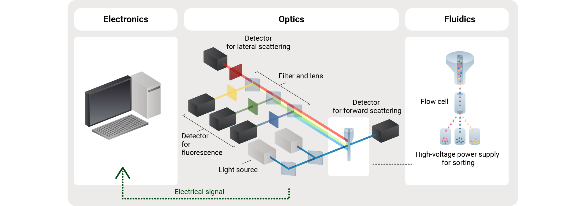 How a flow cytometer works