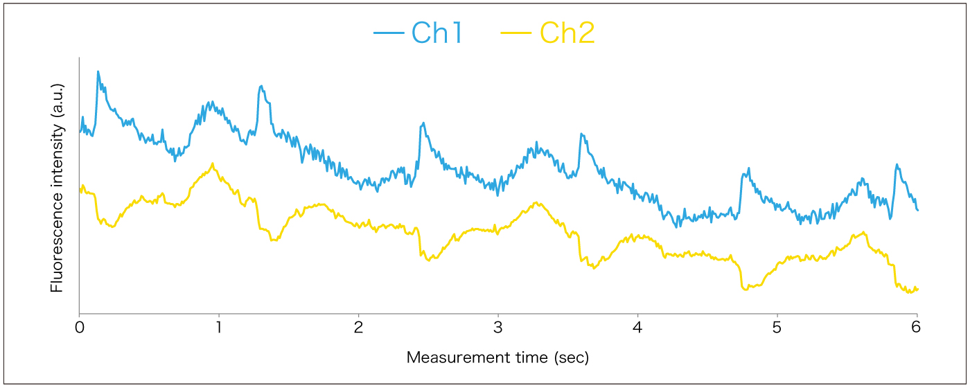 di-4-ANEPPS-Ch1-Ch2