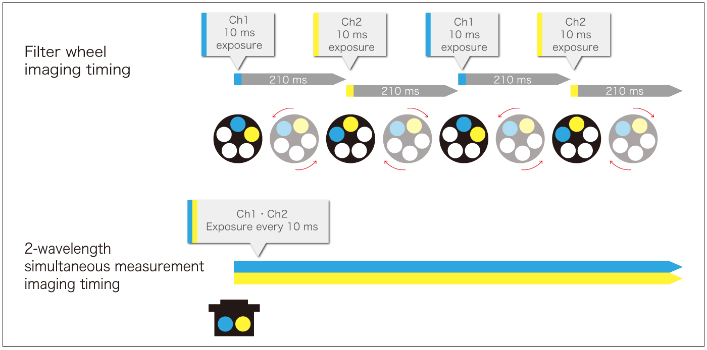 Comparison of imaging timing between the filter wheel method and the simultaneous two-wavelength measurement method