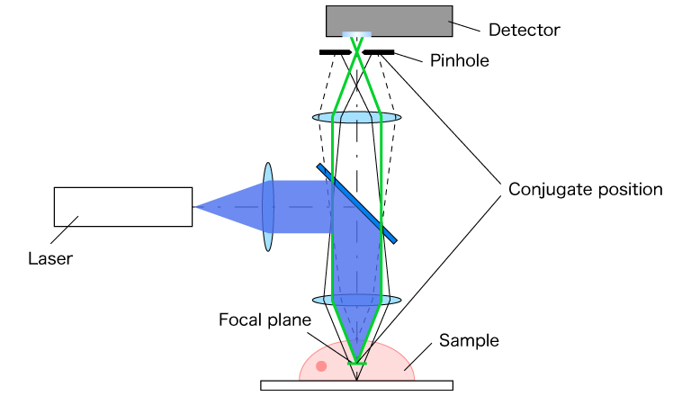 Optical schematic diagram of confocal microscopy