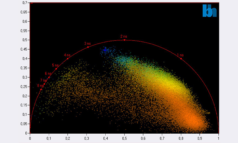 Phasor plot mapping（FLIM-phasor）