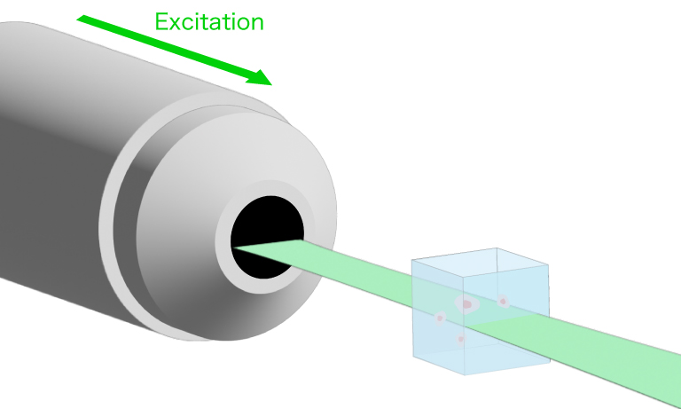 SPIM（selective plane illumination microscopy）