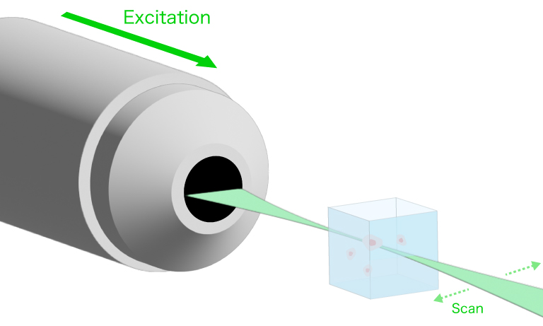 DSLM（digital scanned light-sheet microscopy）