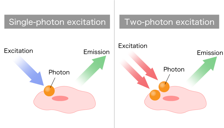 Concept of two-photon excitation