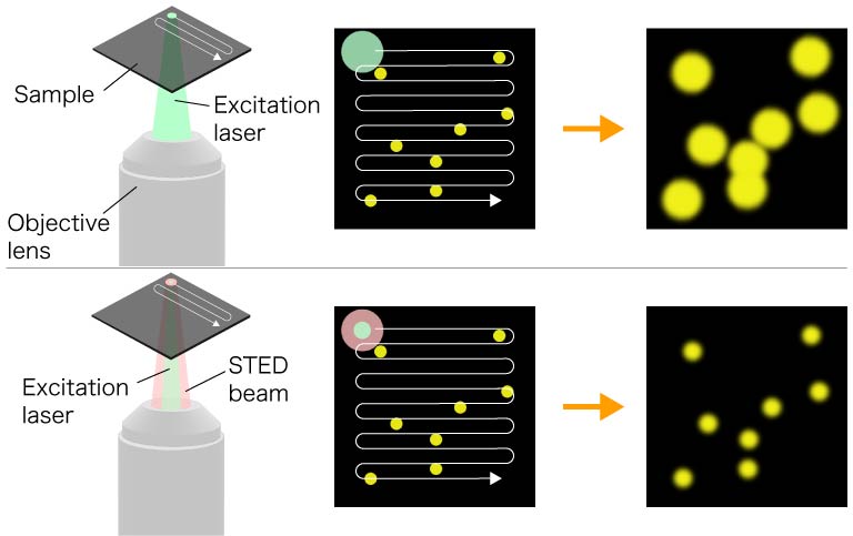 Differences between conventional laser microscopy and STED (stimulated emission depletion) method