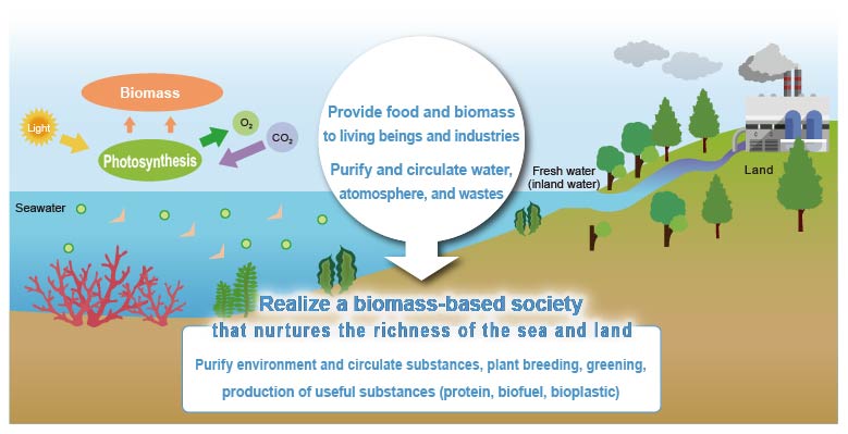 Photosynthesis evaluation technology by photon detection