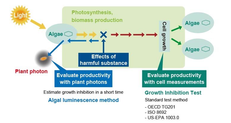 Photosynthesis evaluation technology by photon detection