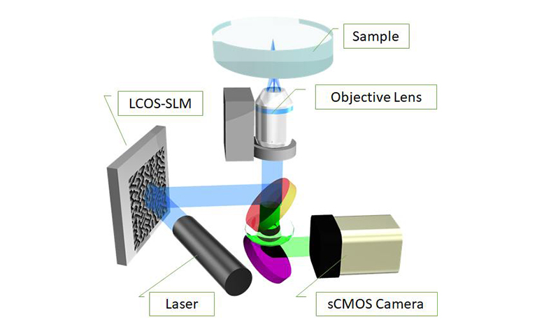 Optical microscope and wavefront control