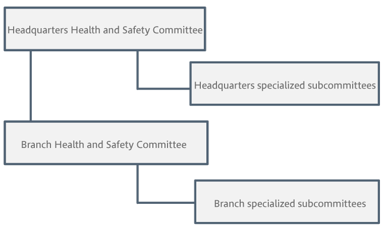 Organizational chart of the Health and Safety Committees 