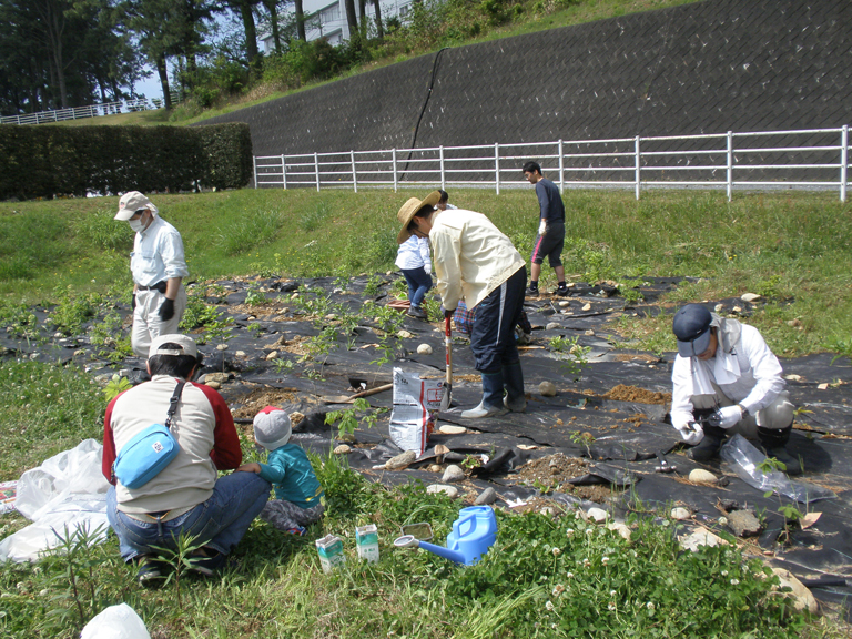 plant trees  on the premisses