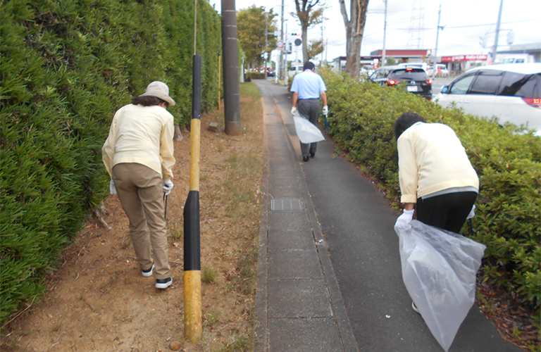 Planting trees on the seawall