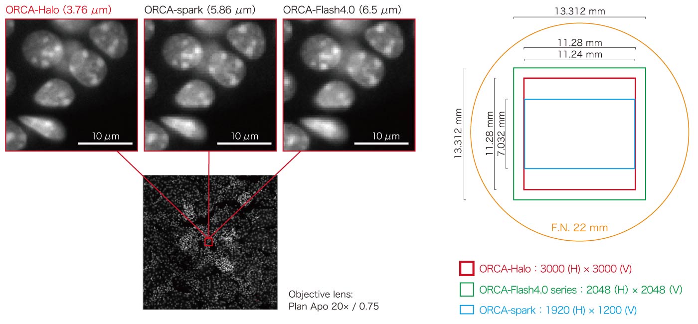 High resolution & wide field of view​ comparison