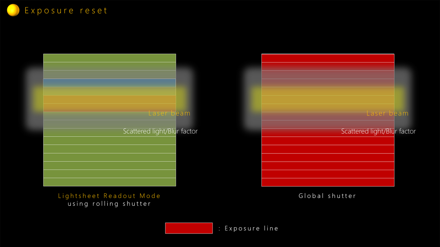 Exposure reset
