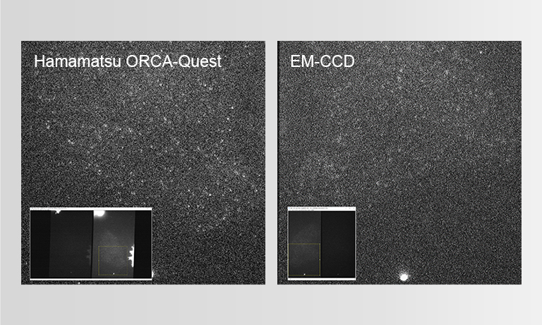 Comparison on single molecule microscopy imaging with EM-CCD and qCMOS® camera ORCA®-Quest 【Institute of Genetics and Developmental Biology, Chinese Academy of Sciences】