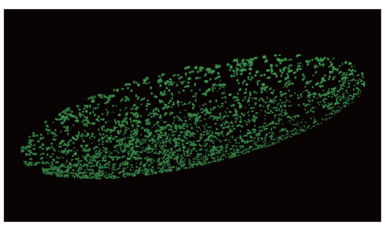 CYTOQUBE Background Fluorescence Removal Function ON