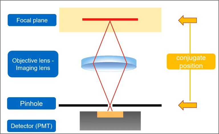 Conceptual diagram of the detection of fluorescence emitted from the focal plane.