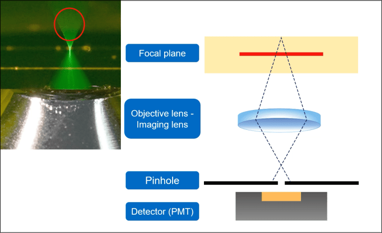 Conceptual diagram of the elimination technique of fluorescence emitted outside the focal plane.