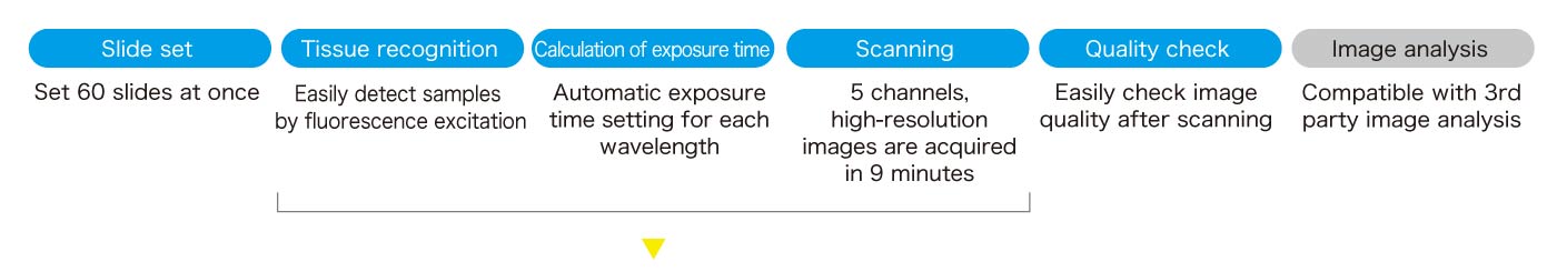 Features of each flow