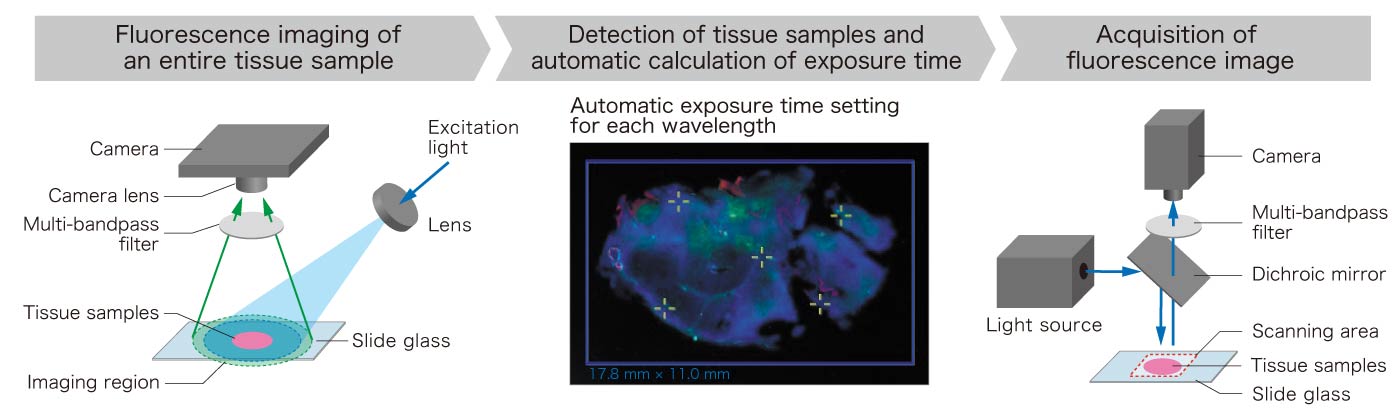 Flow of getting acquisition of fluorescence image