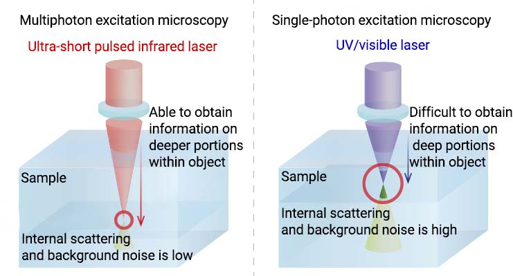Laser scanning microscopy