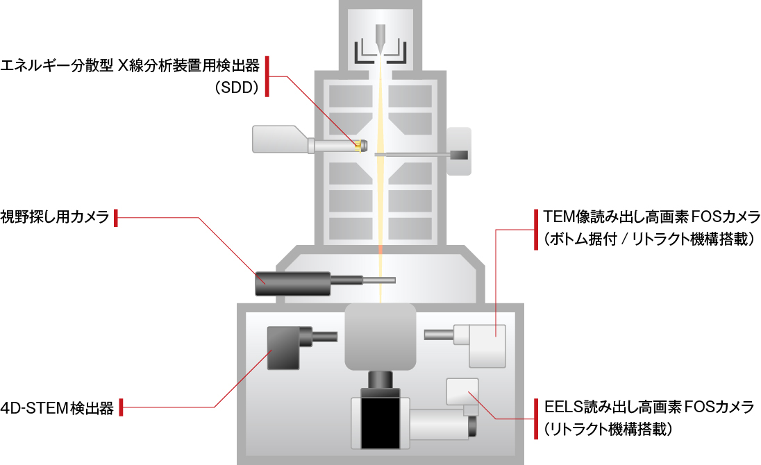 透過電子顕微鏡（TEM)