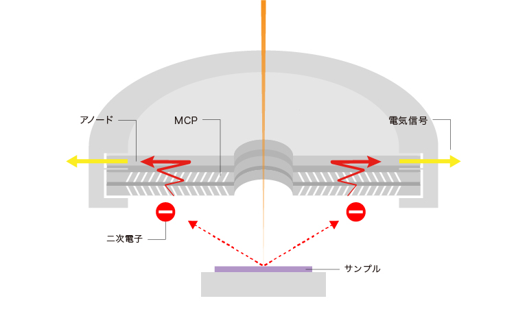 MCPを採用した二次電子検出イメージ