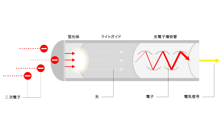 光電子増倍管（PMT）/MPPCを採用した二次電子検出イメージ